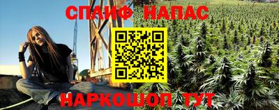 тгк Аргун